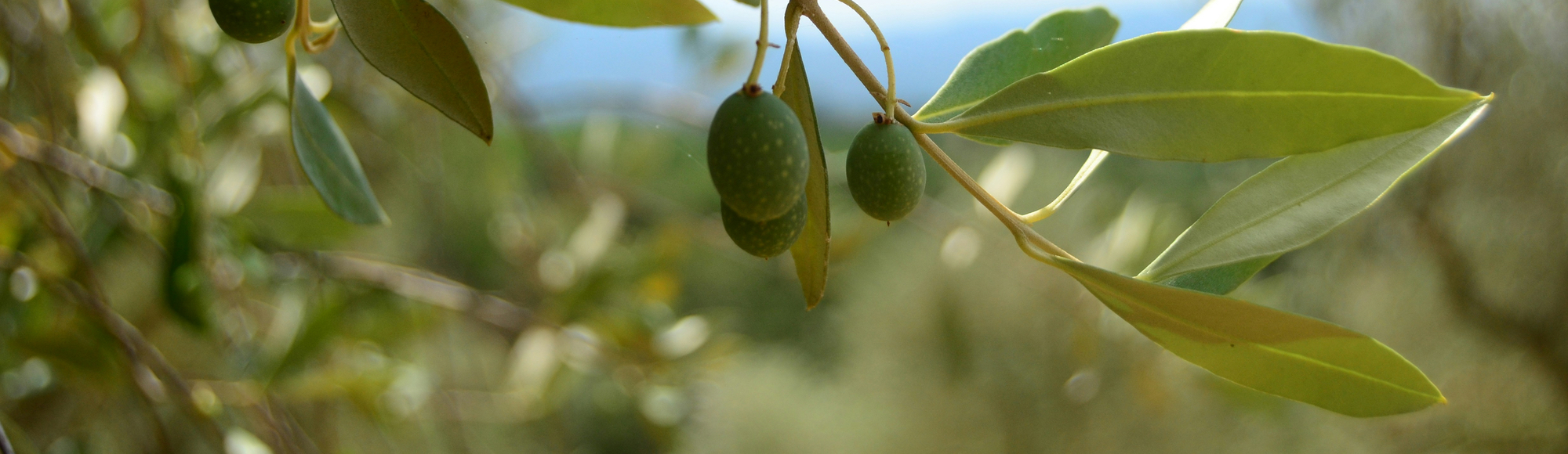 Unternehmertage 2025