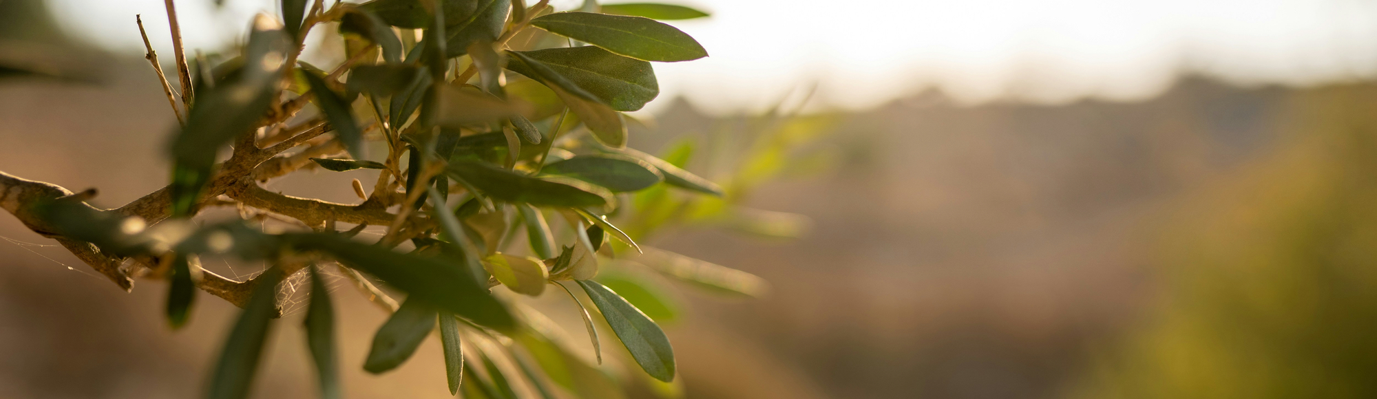 Unternehmertage 2026