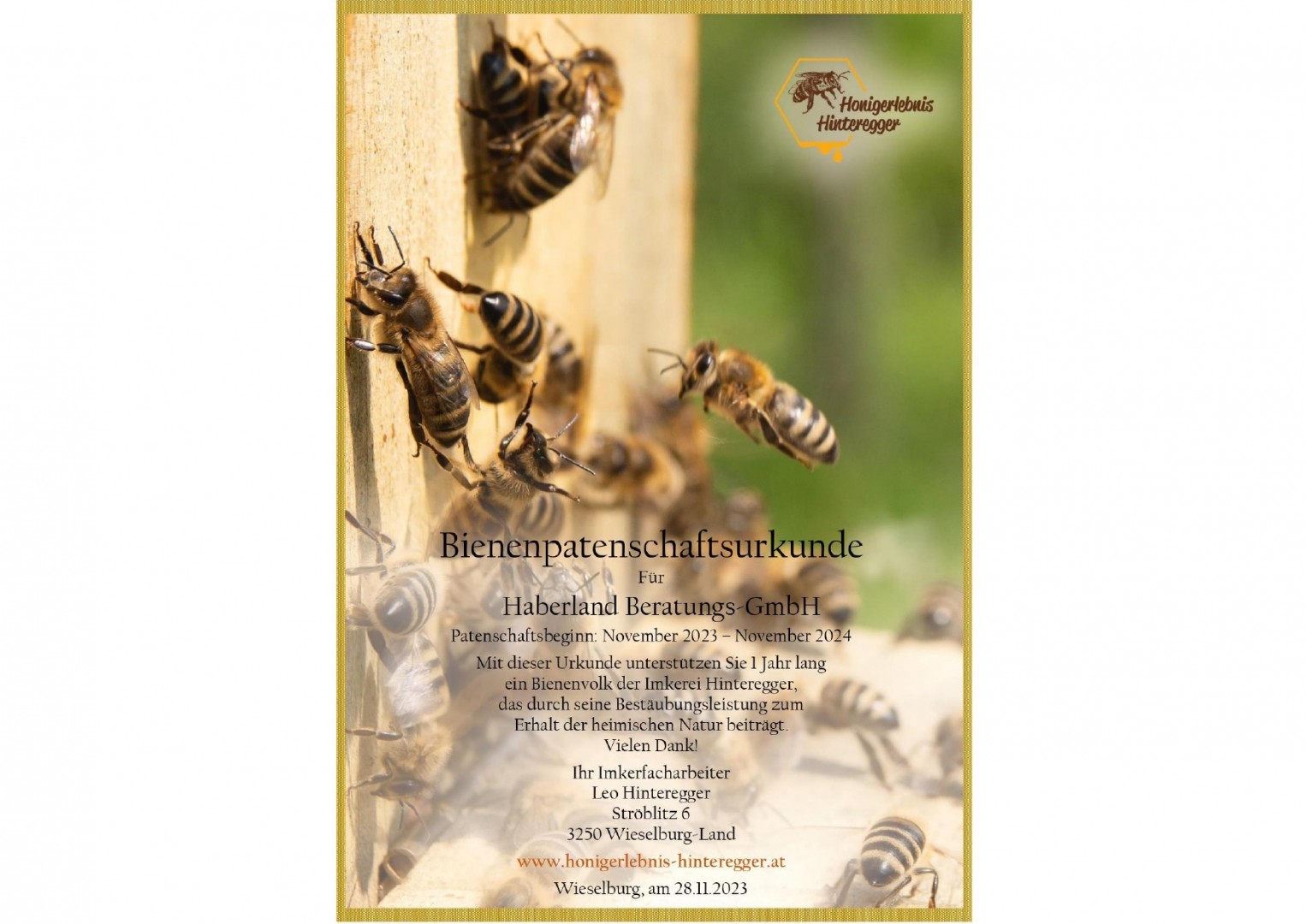 Blogbeitrag: Süße Verantwortung übernehmen: Bienenpatenschaft mit Honigerlebnis Hinteregger